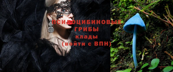 бошки Абаза
