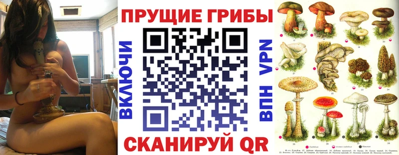 Псилоцибиновые грибы GOLDEN TEACHER  Углегорск 
